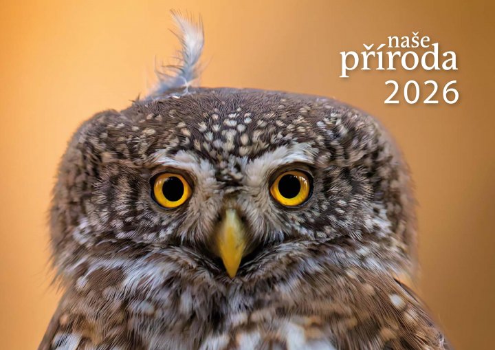 obálka časopisu Naše příroda kalendář kalendář 2026
