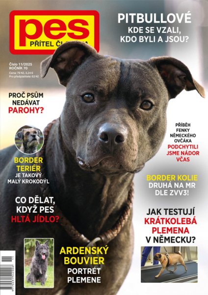obálka časopisu Pes přítel člověka 11/2025