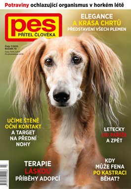 obálka časopisu Pes přítel člověka 7/2025