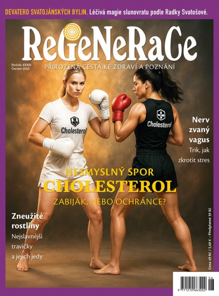 obálka časopisu ReGeNeRaCe 6/2025