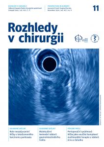 obálka časopisu Rozhledy v chirurgii  11/2024