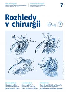 obálka časopisu Rozhledy v chirurgii  7/2025