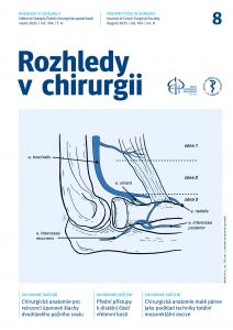 obálka časopisu Rozhledy v chirurgii  8/2025