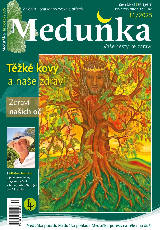 titulní strana časopisu Meduňka a jeho předplatné