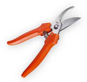 dárek k předplatnému časopisu Naše krásná zahrada