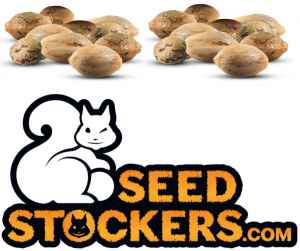 dárek k předplatnému časopisu Konopí