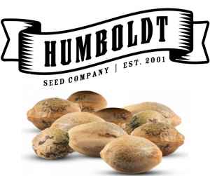 dárek k předplatnému časopisu Konopí