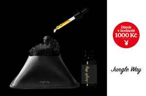 dárek k předplatnému časopisu Playboy