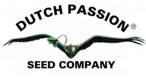 dárek k předplatnému časopisu Konopí