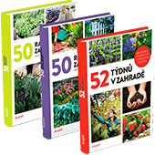 dárek k předplatnému časopisu Dům a zahrada