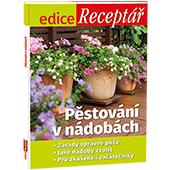 dárek k předplatnému časopisu Vlasta