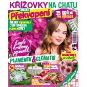 dárek k předplatnému časopisu Deník křížovky